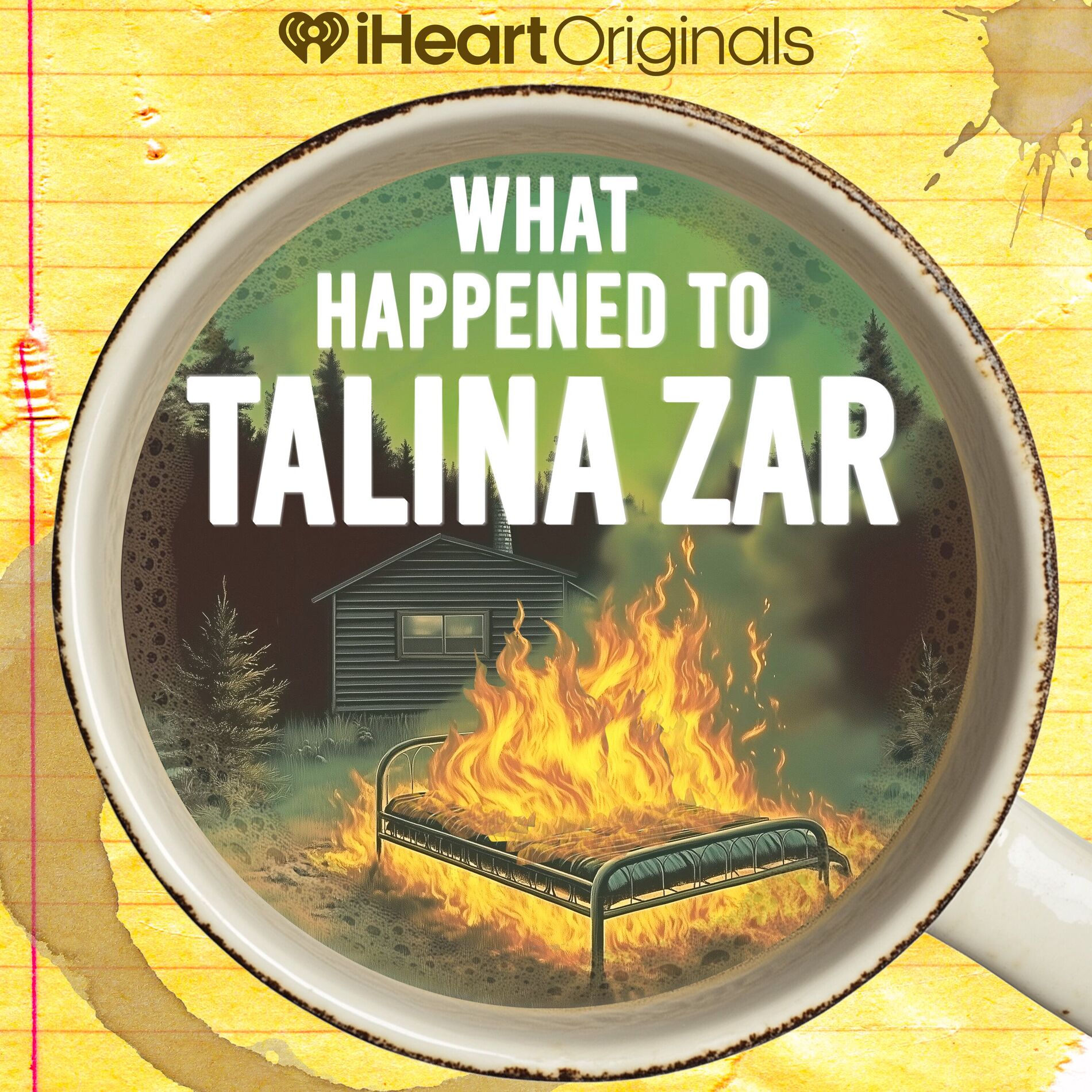 Show cover of What Happened to Talina Zar