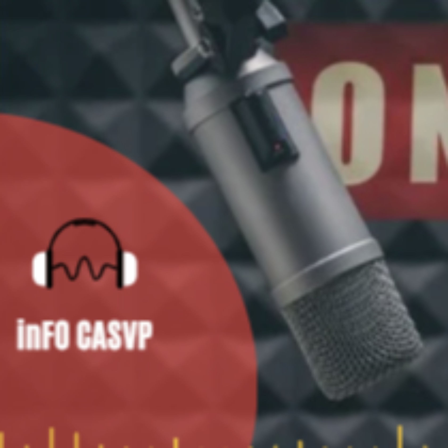 Show cover of Actu FO CASVP