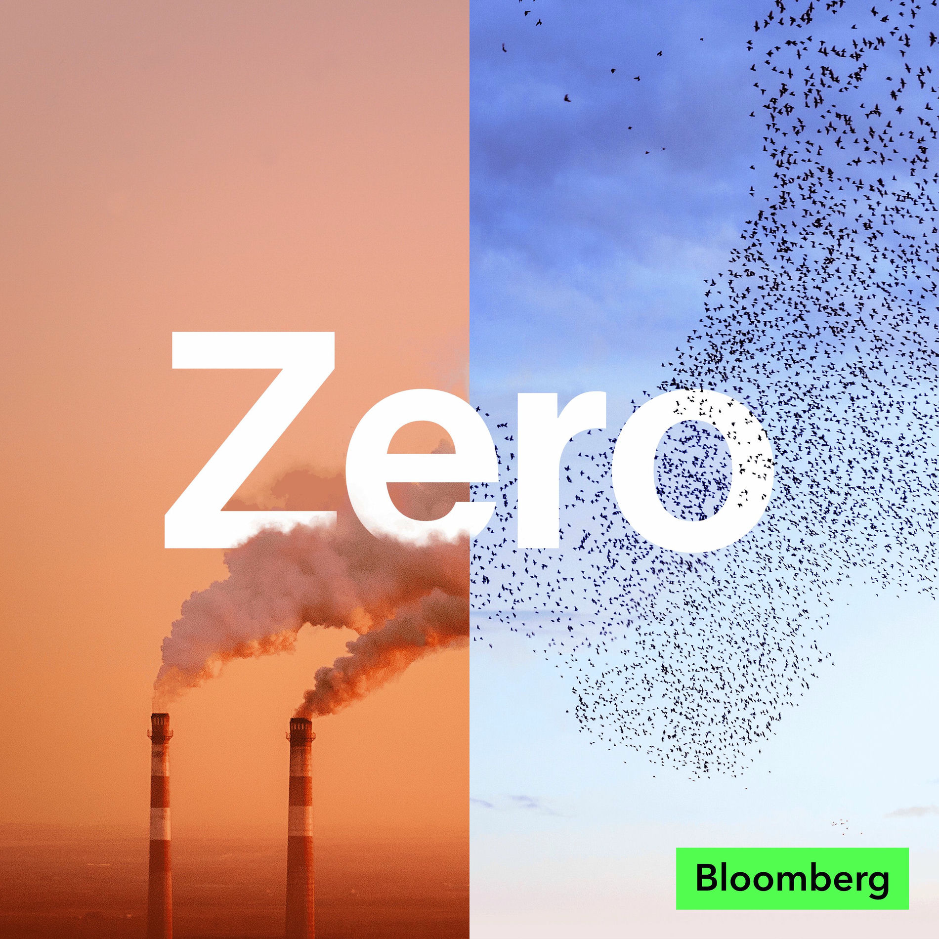 Show cover of Zero: The Climate Race