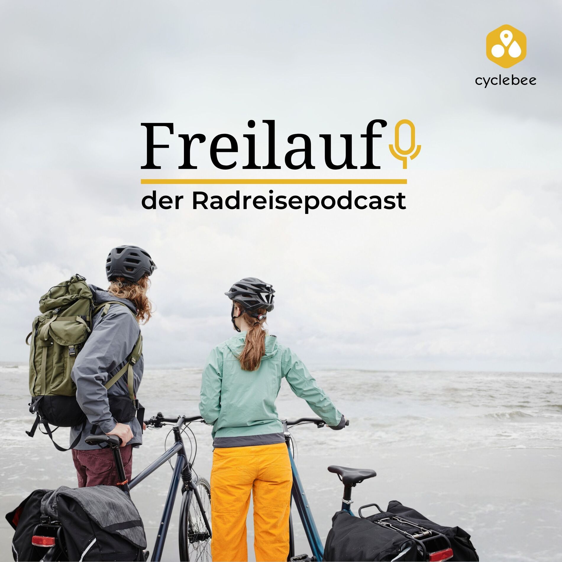 Show cover of Freilauf