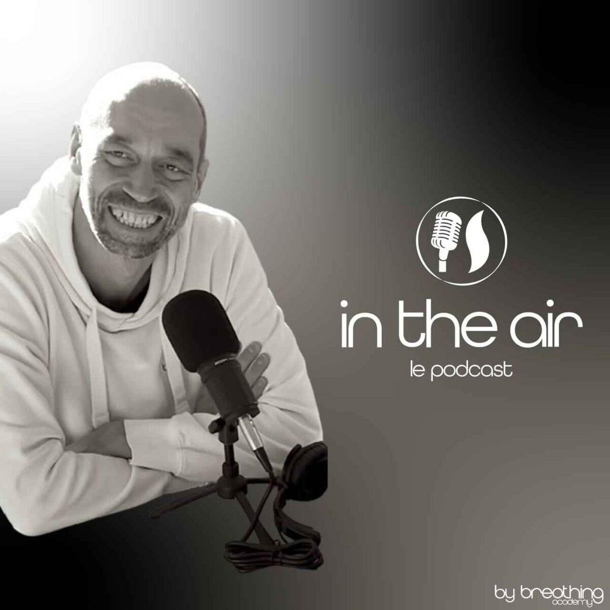 Show cover of In the Air