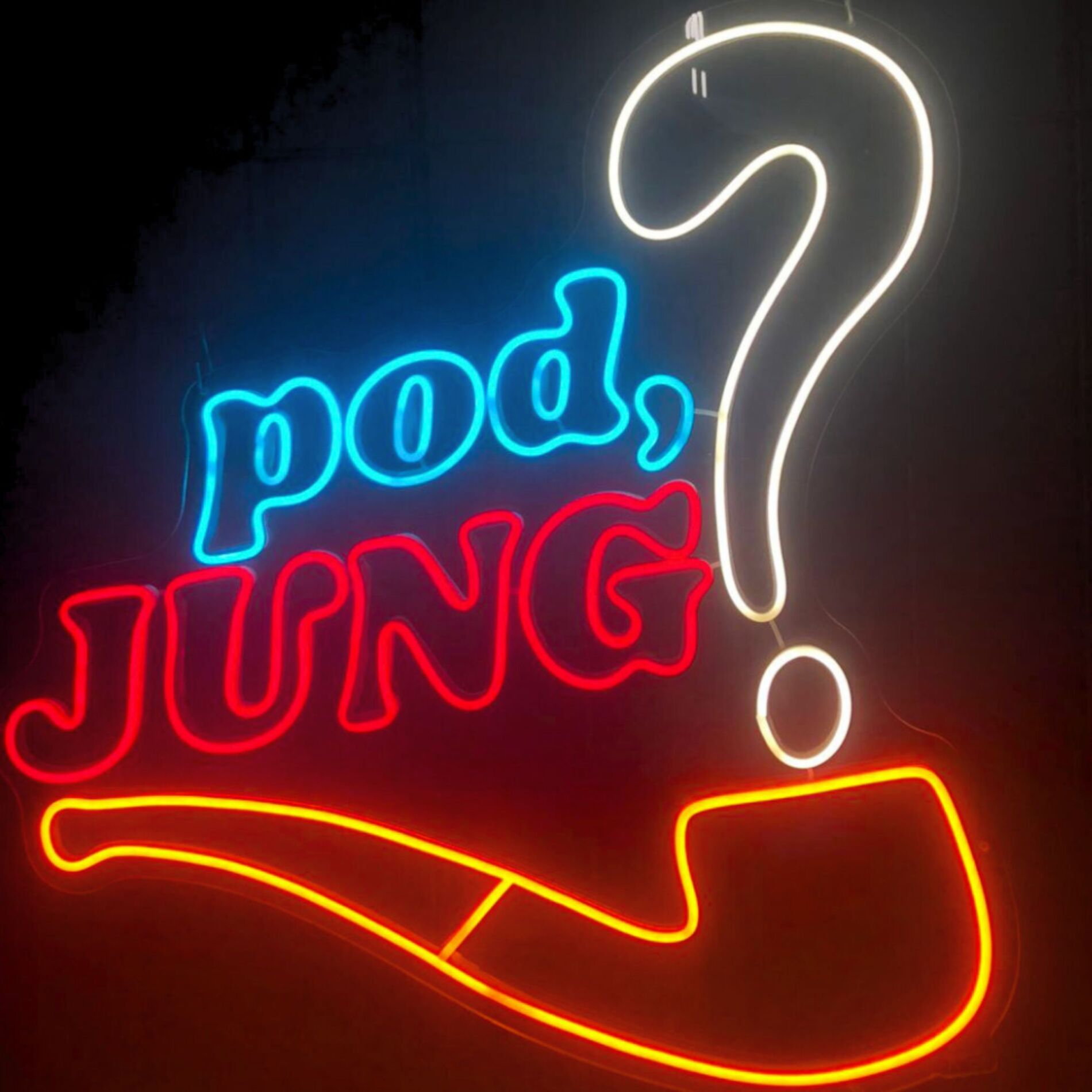 Show cover of Pod,Jung?