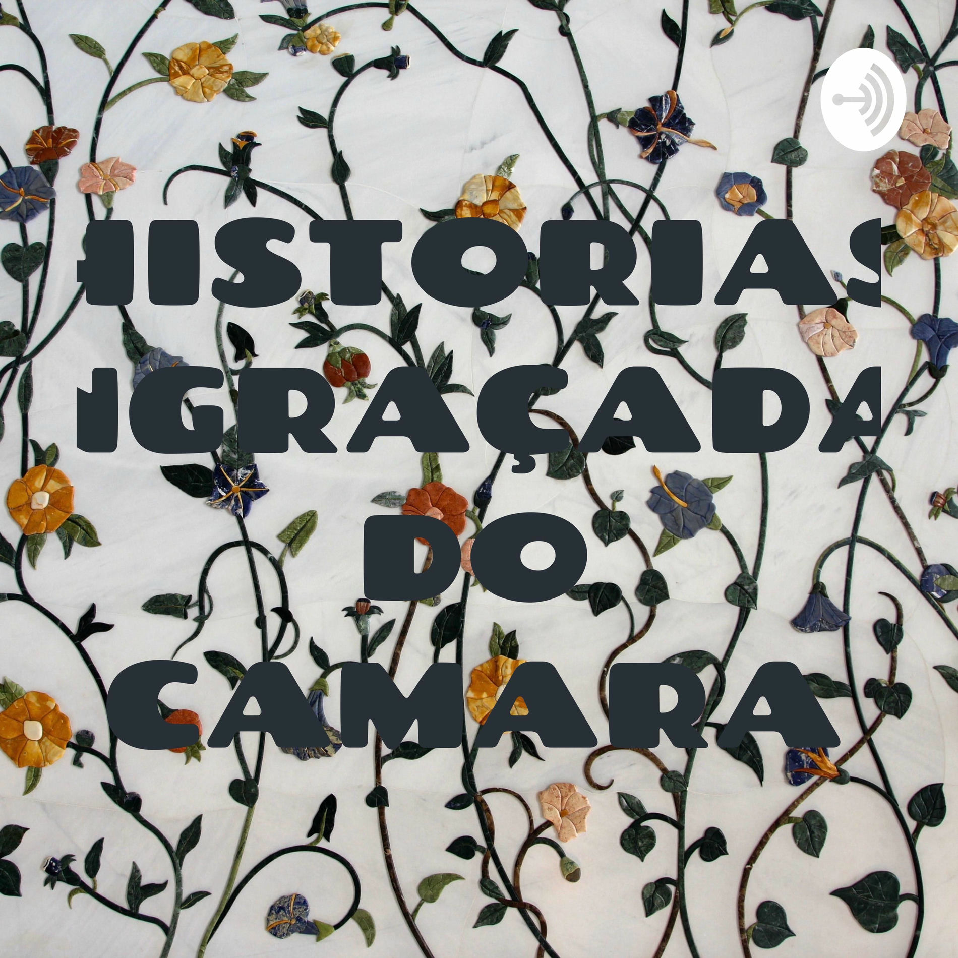 Show cover of HISTORIAS ENGRAÇADAS DO CAMARA