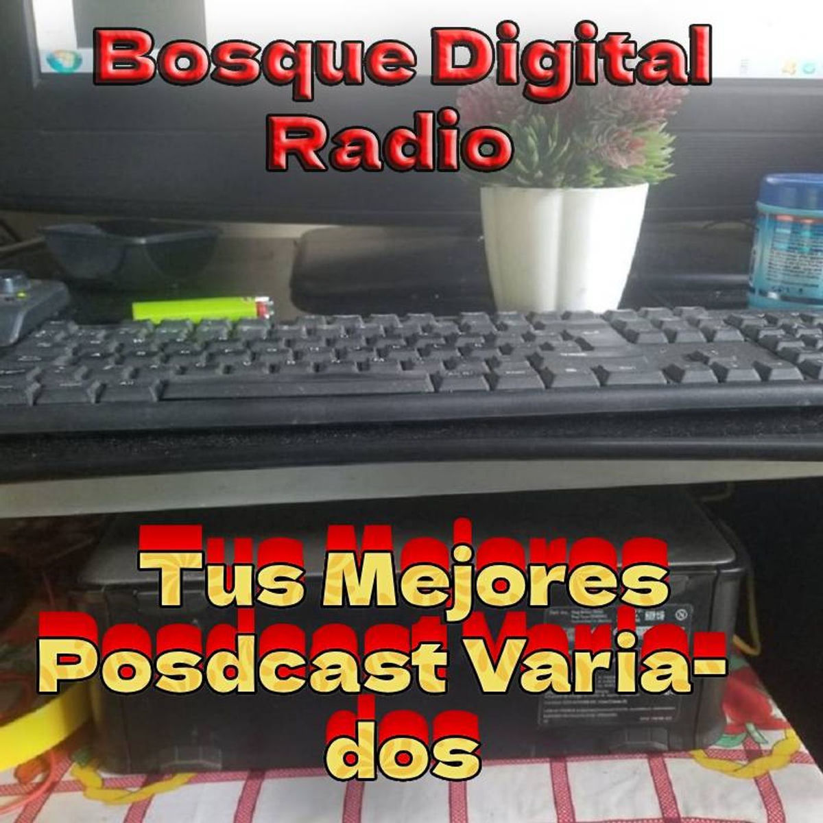 Show cover of Bosque Digital Radio, La mejor Musica