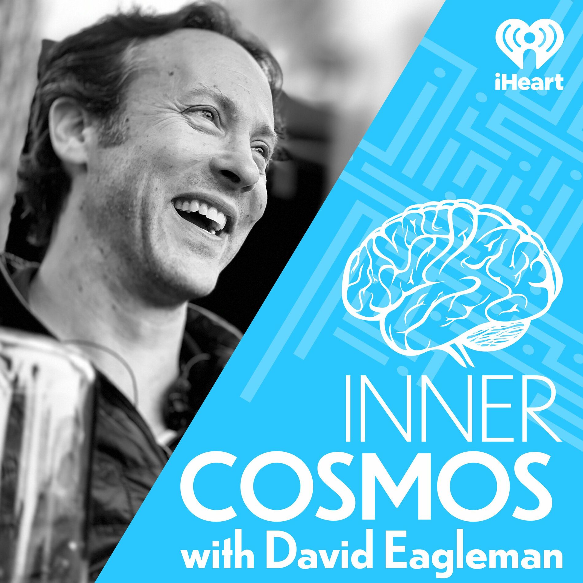 Show cover of Inner Cosmos with David Eagleman