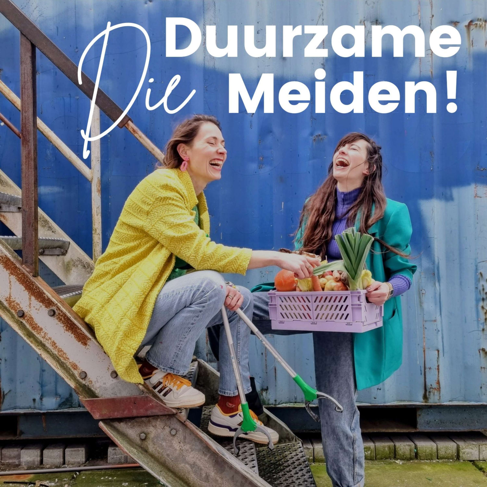 Show cover of Die duurzame meiden