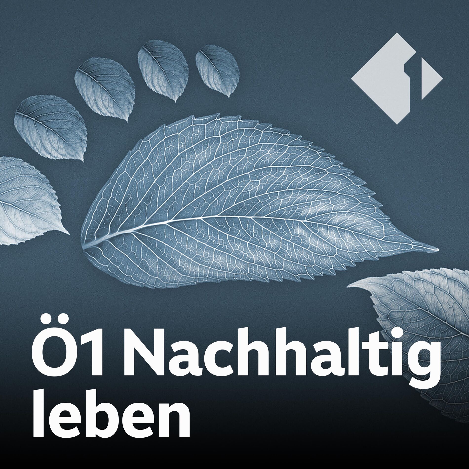 Show cover of Ö1 Nachhaltig leben