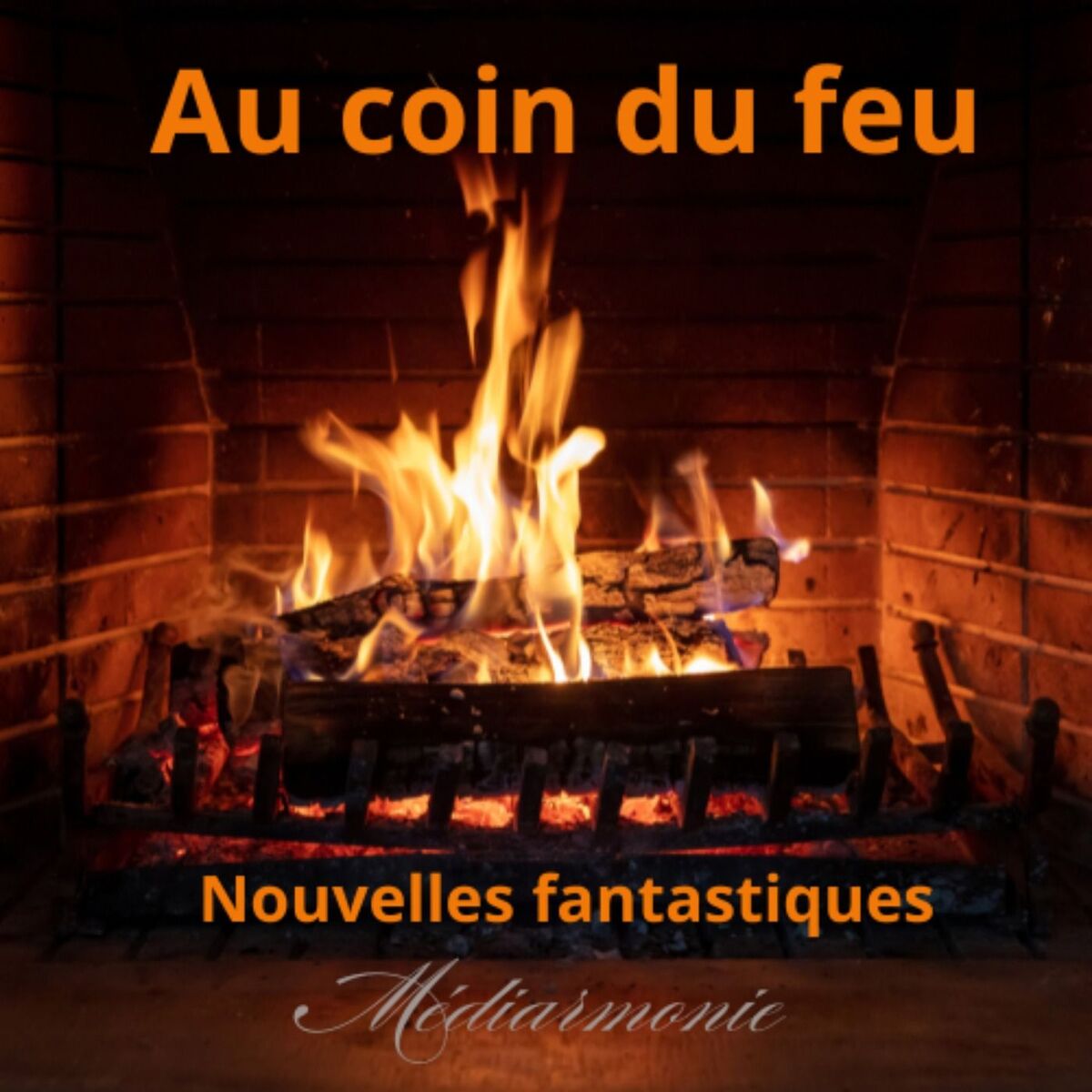 Show cover of Au coin du feu. Nouvelles fantastiques