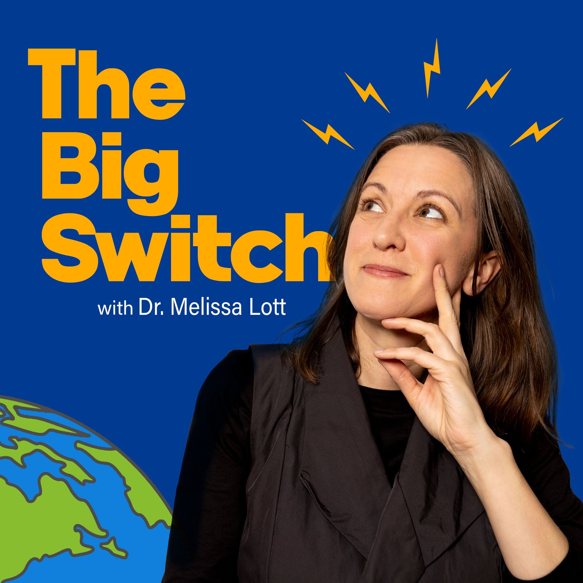 Show cover of The Big Switch