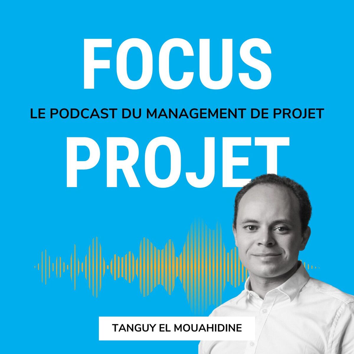 Show cover of 🔍 Focus Projet - Management de Projet, Gestion, Communication, Leadership, Conseil, Astuces et outils pour les chefs de projets