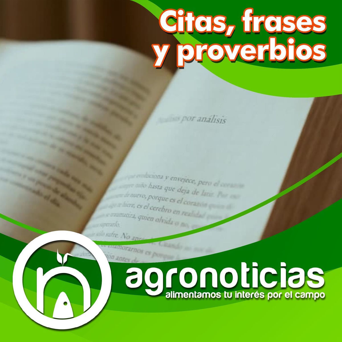 Show cover of Citas, frases y proverbios