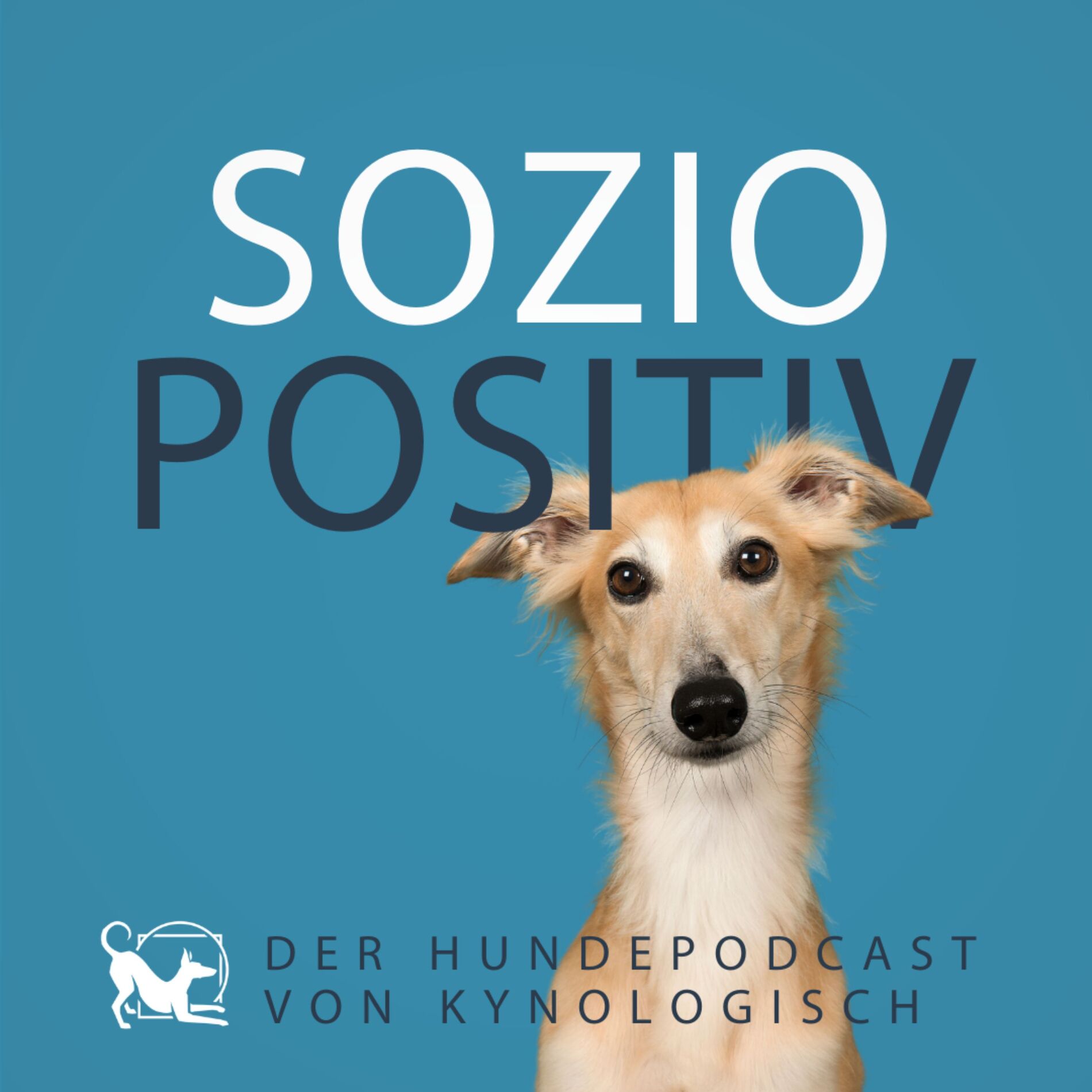 Show cover of Soziopositiv - Der Hundepodcast für mehr Wissen und Vielfalt