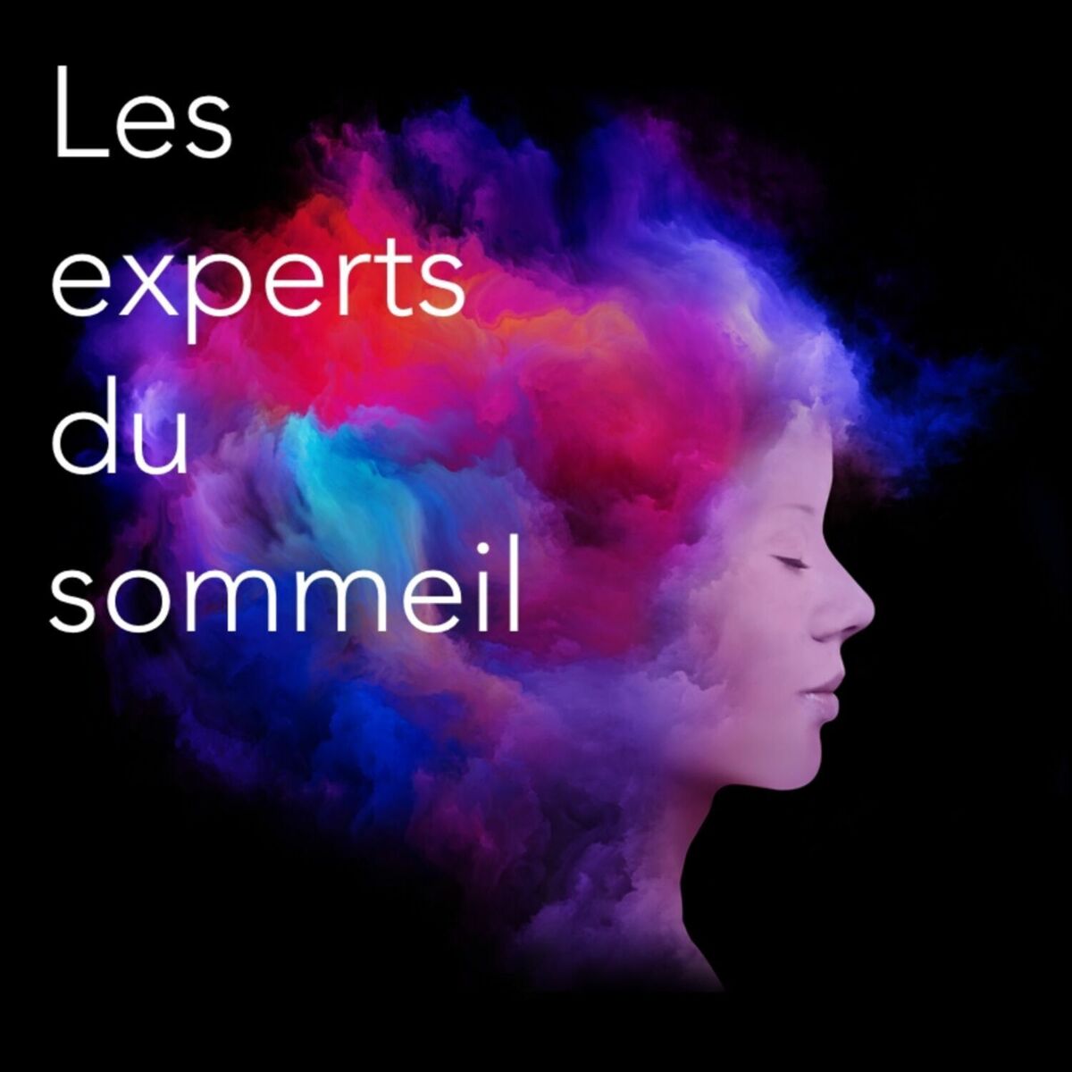 Show cover of LES EXPERTS ESPRITSOMMEIL