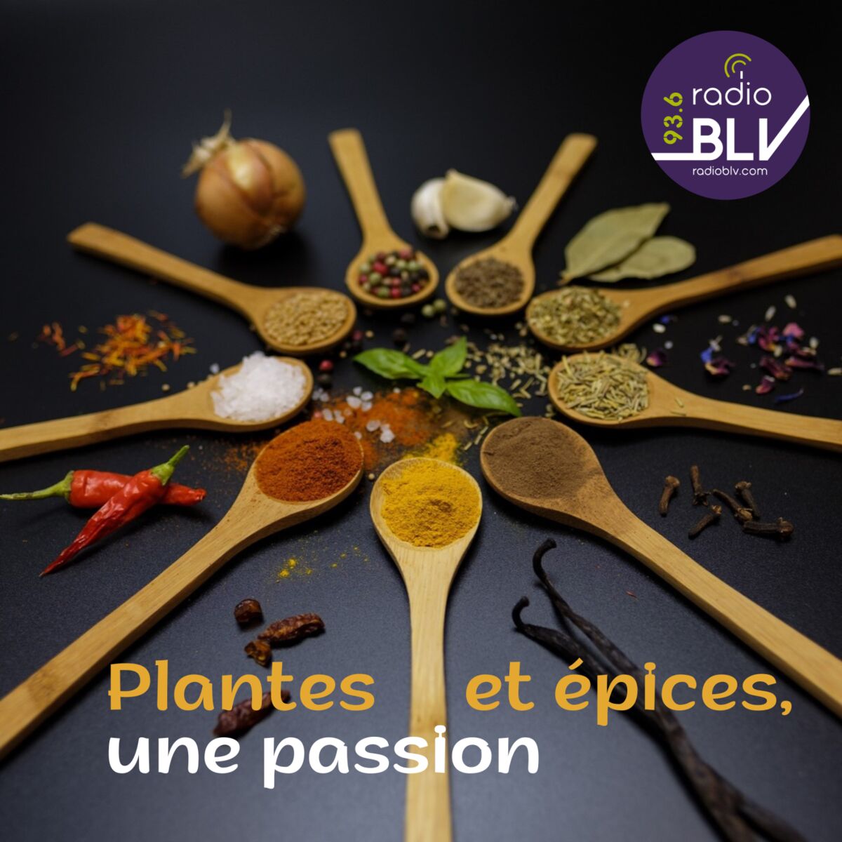 Show cover of Plantes Et Épices
