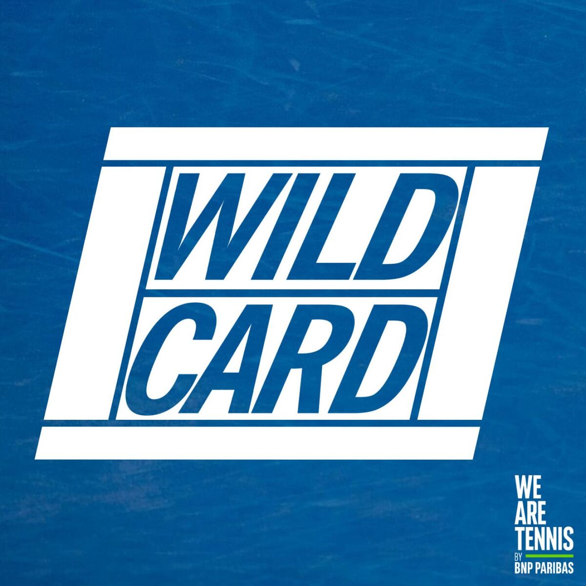 Show cover of WILD CARD