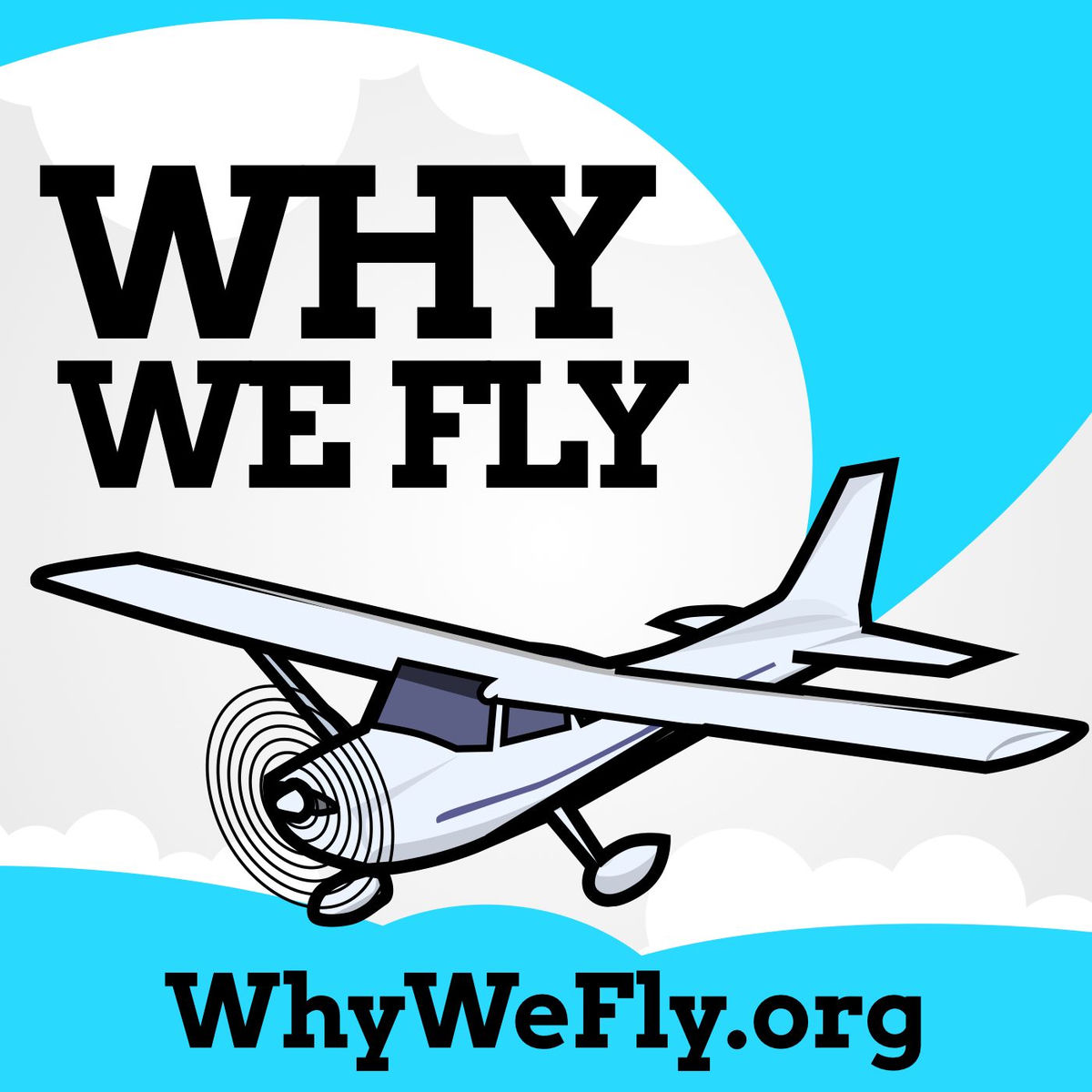 Show cover of Why We Fly