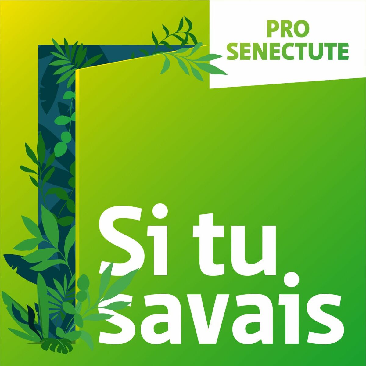 Show cover of Si tu savais