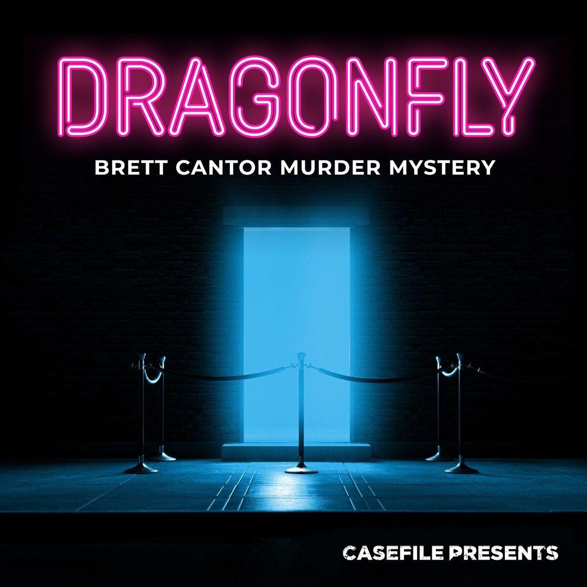 Show cover of Dragonfly: Brett Cantor Murder Mystery