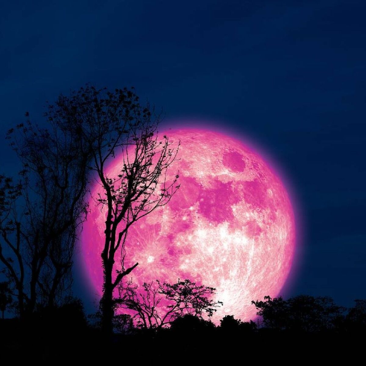 Show cover of La Luna 🌛