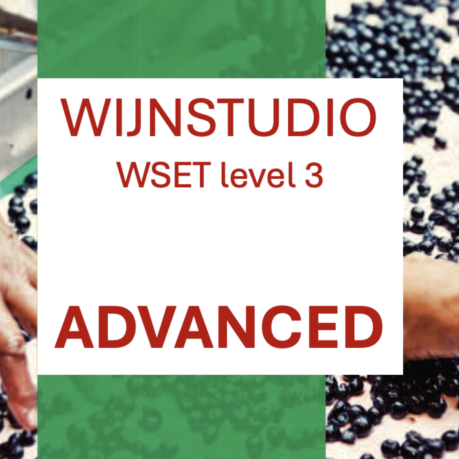 Show cover of Wijn Advanced – WSET level 3