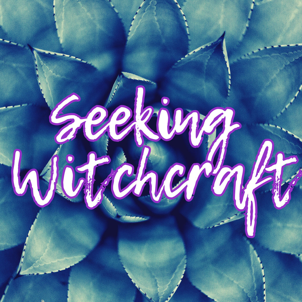 Show cover of Seeking Witchcraft