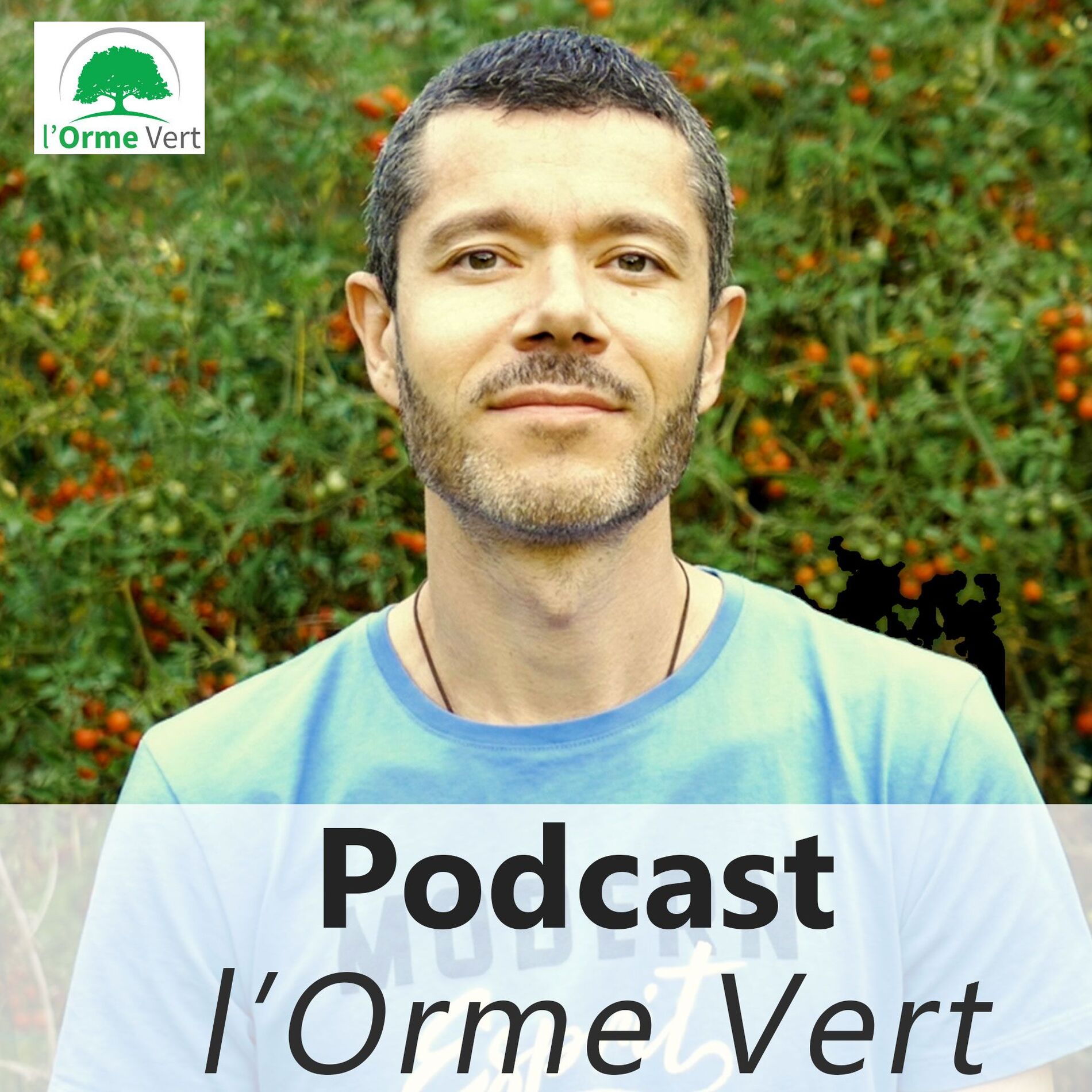 Show cover of David Orme Vert