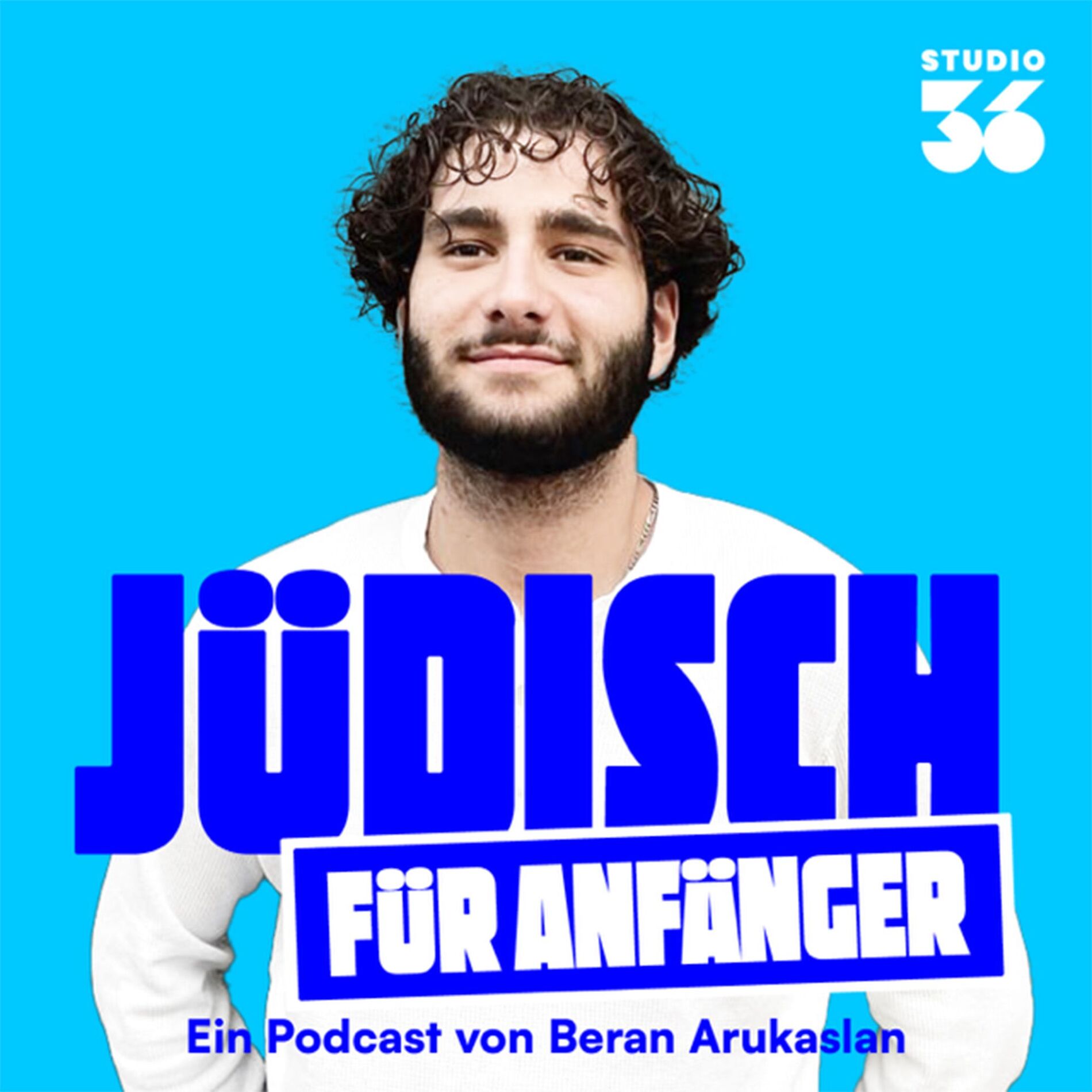 Show cover of Jüdisch für Anfänger