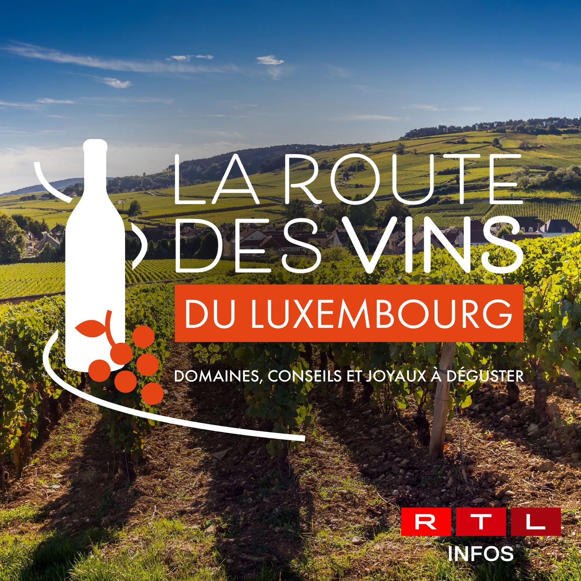 Show cover of RTL Infos - La Route des Vins du Luxembourg - Domaines viticoles, conseils oenologiques et joyaux à déguster