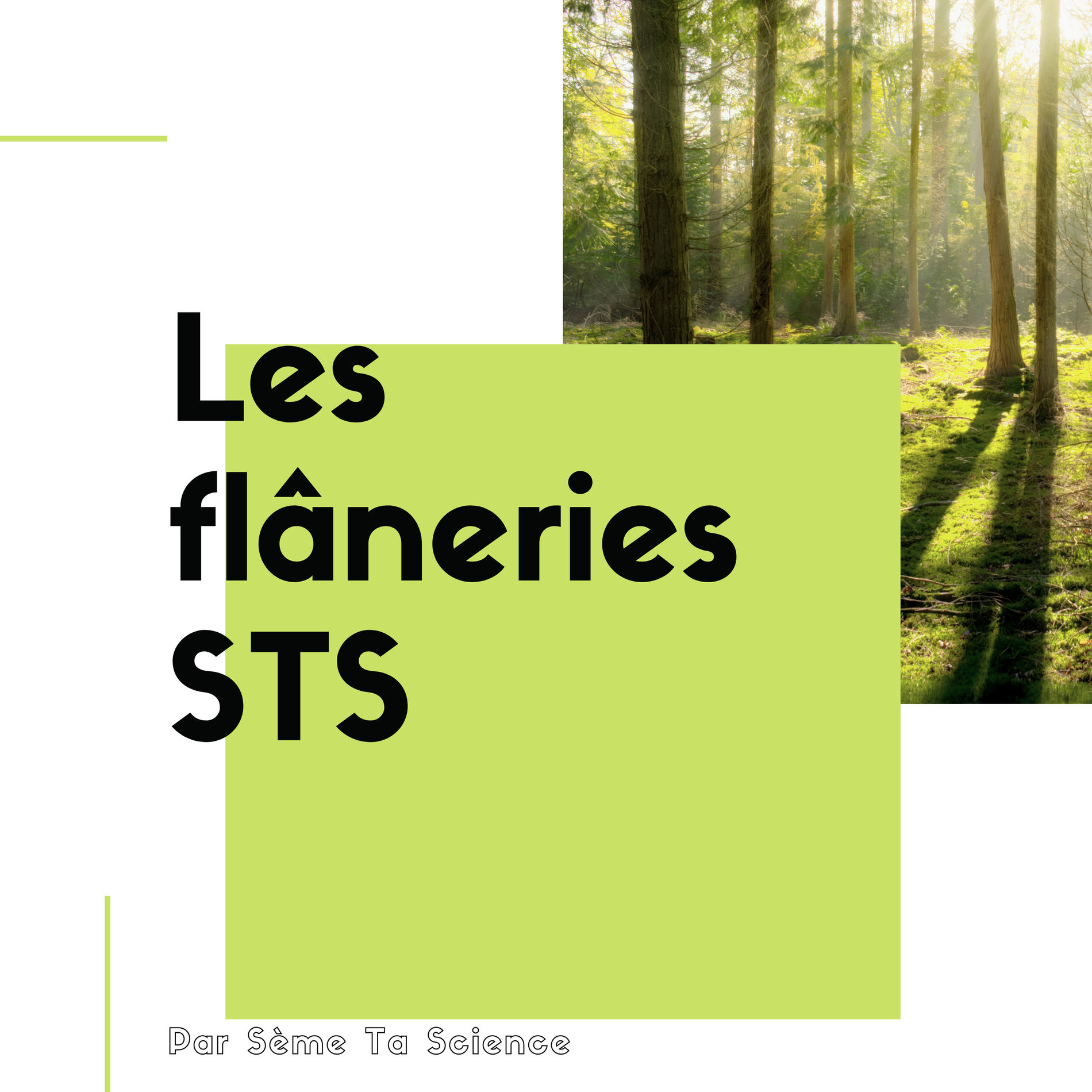 Show cover of Les flâneries STS