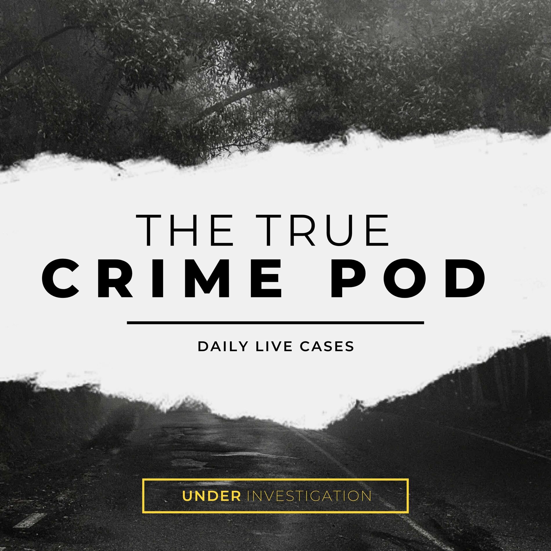Show cover of 🚨 The True Crime Pod - Daily Live Casefiles