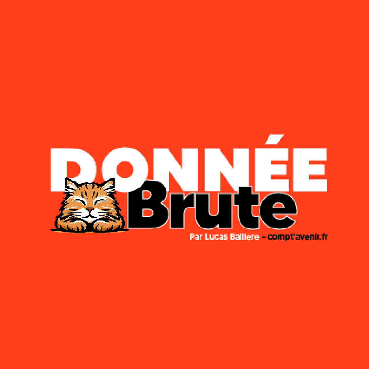 Show cover of Donnée Brute