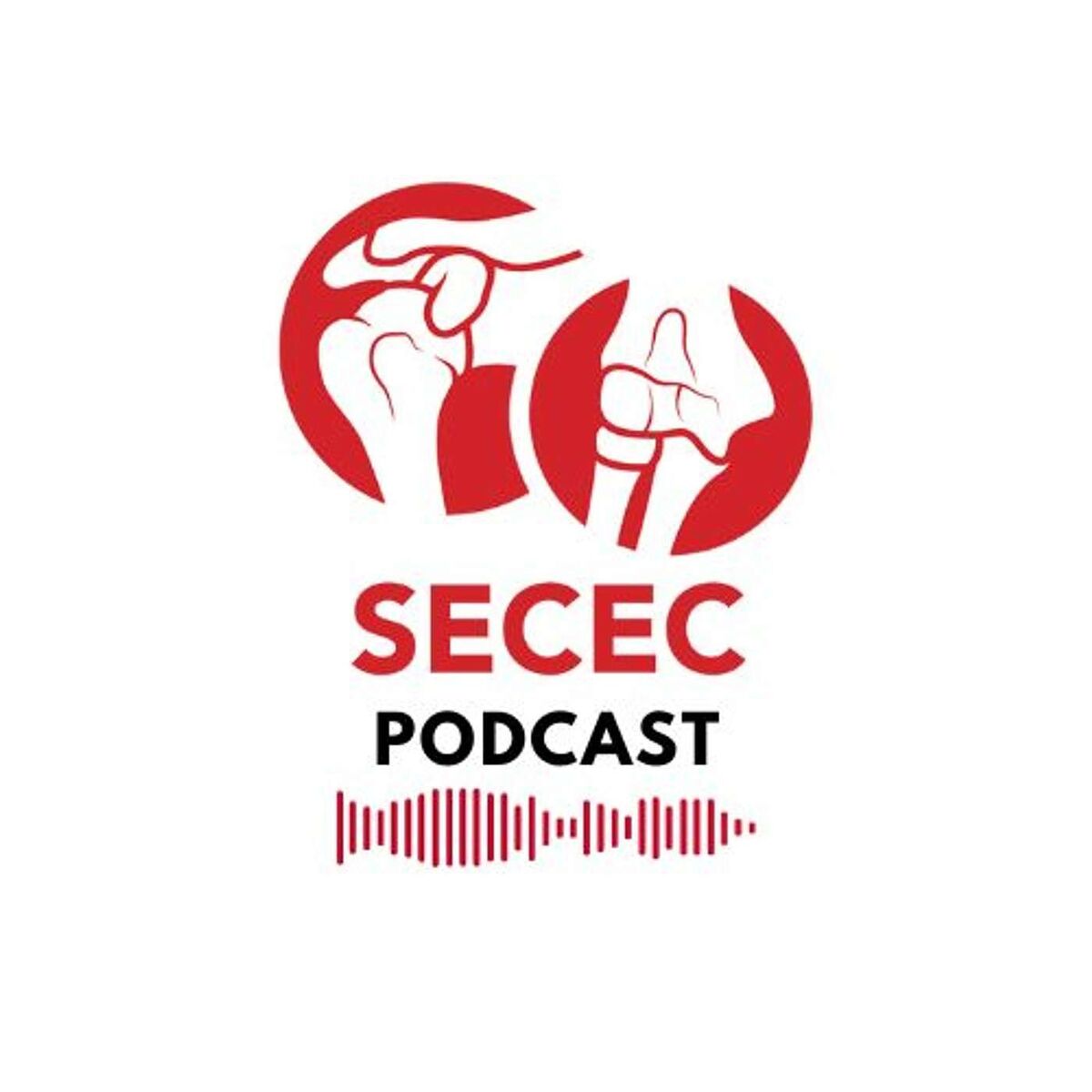 Show cover of SECEC Podcast