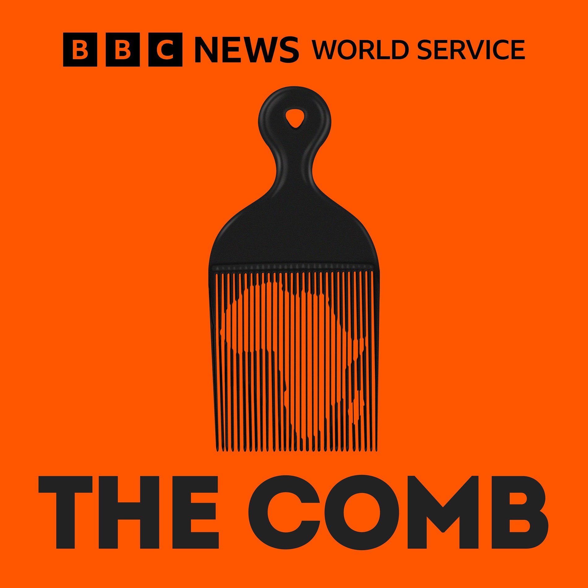 Show cover of The Comb