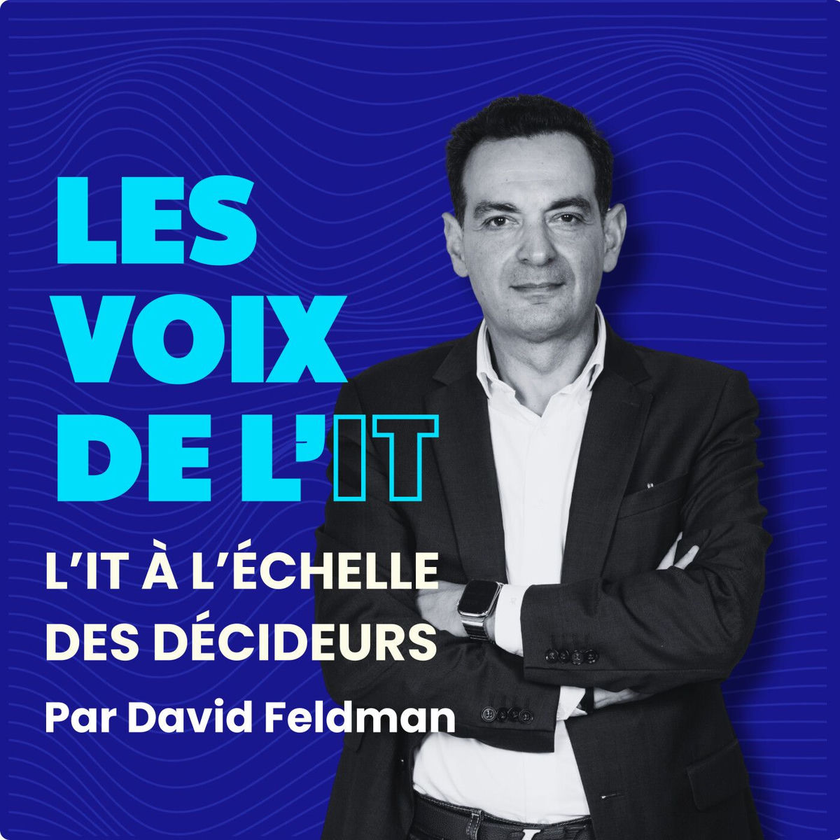 Show cover of Les voix de l'IT