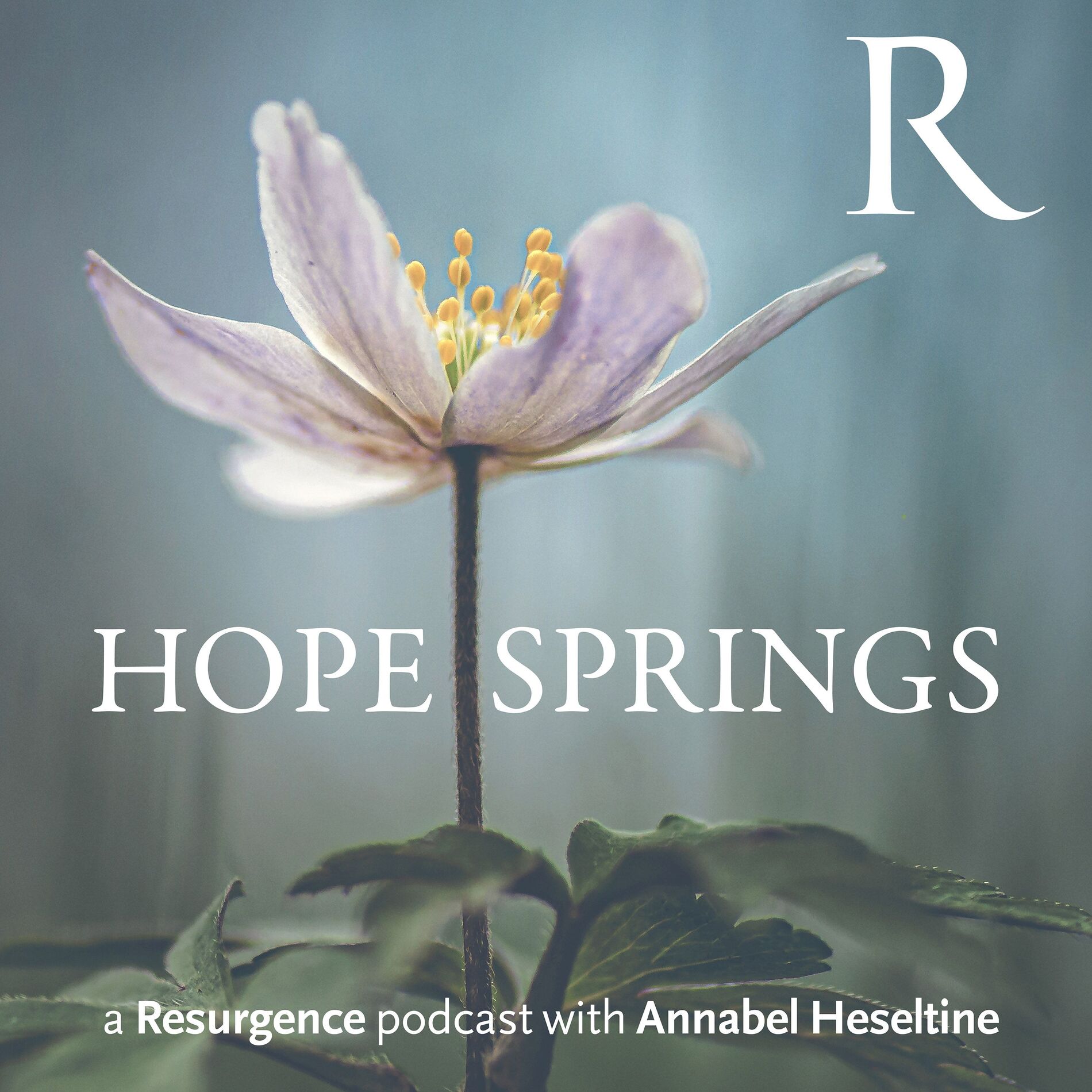 Show cover of Hope Springs with Annabel Heseltine