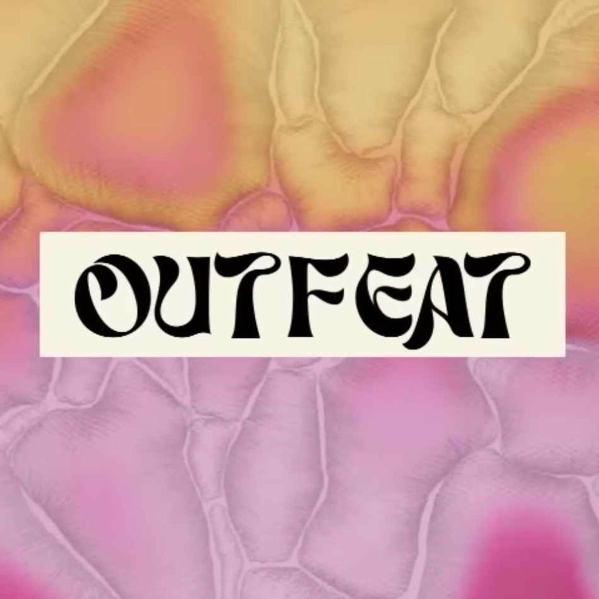 Show cover of Outfeat