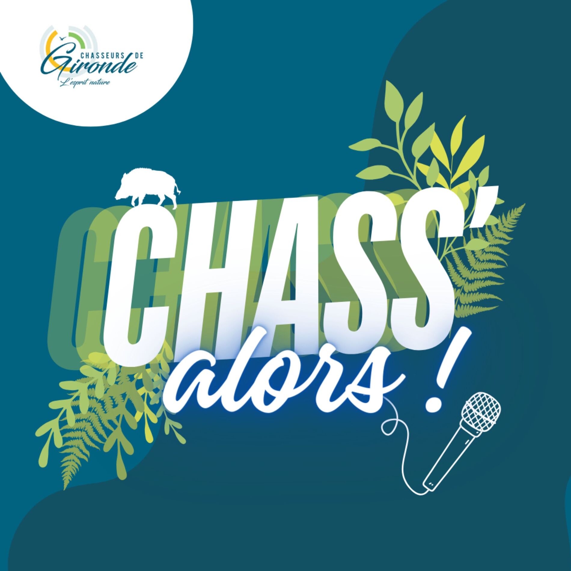 Show cover of Chass'alors