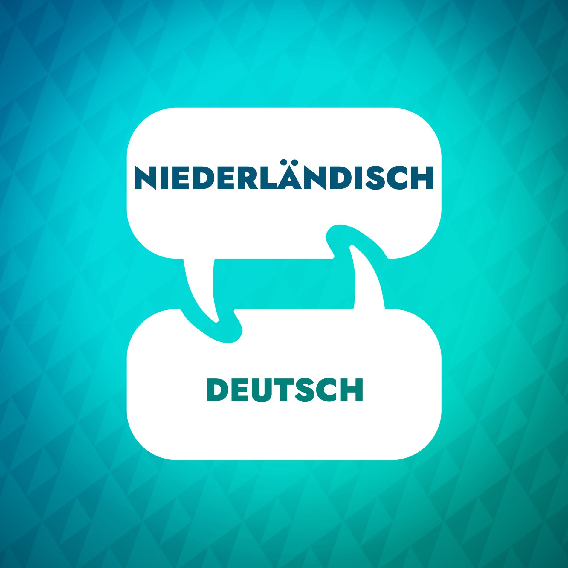 Show cover of Niederländischer Lernbeschleuniger