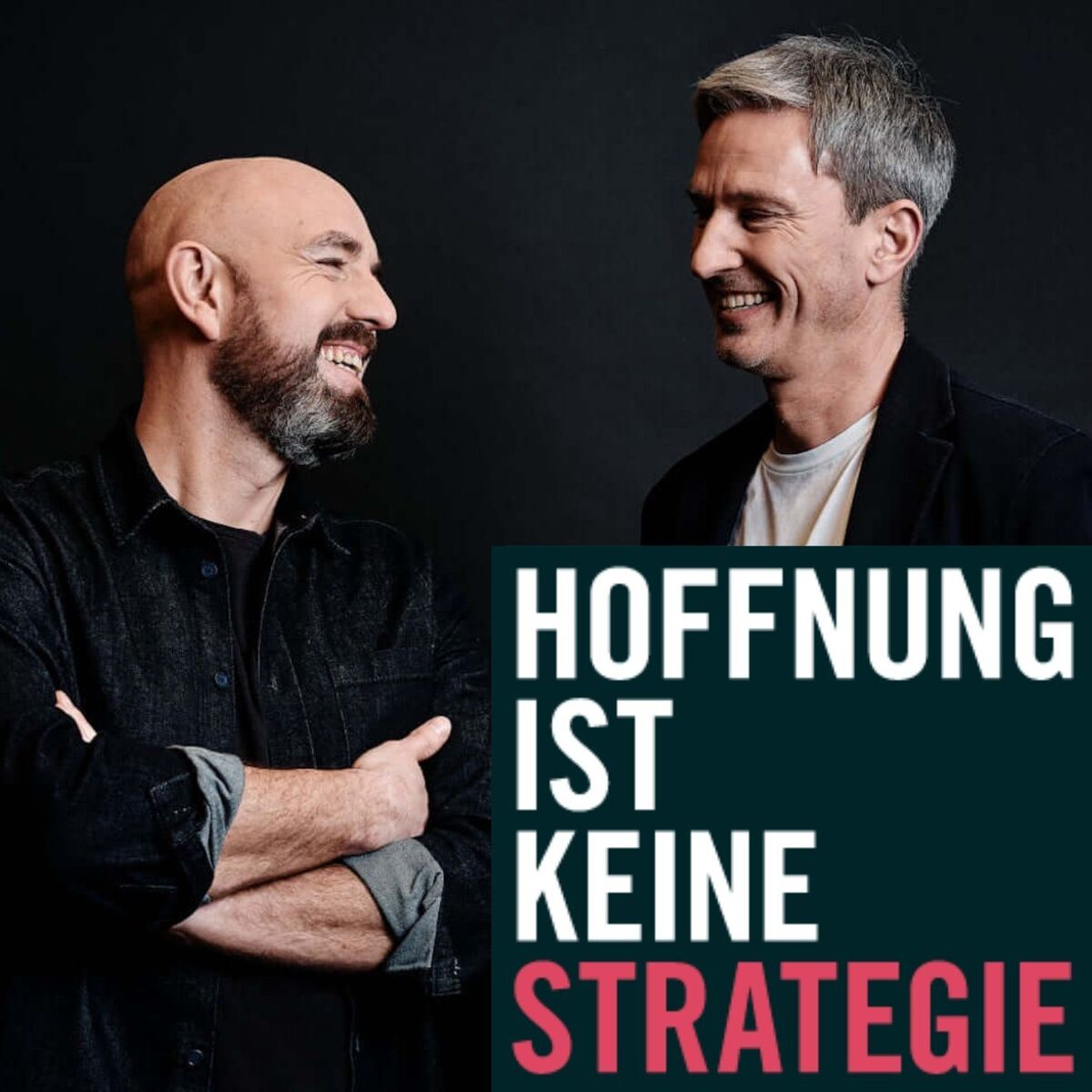Show cover of HOFFNUNG IST KEINE STRATEGIE