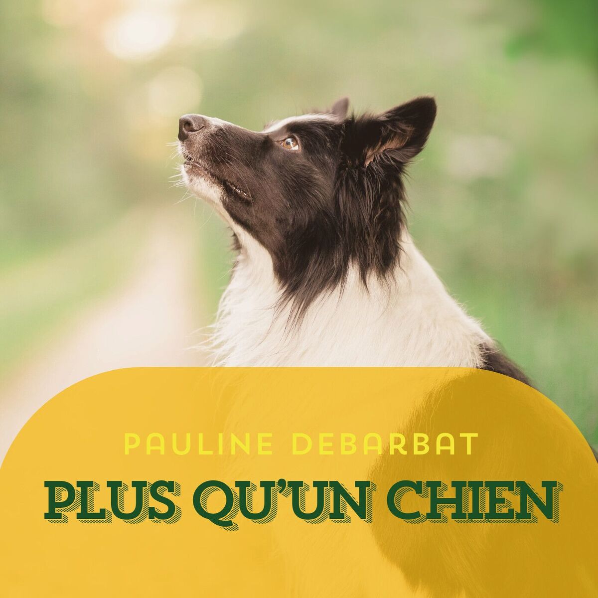 Show cover of Plus Qu'Un Chien