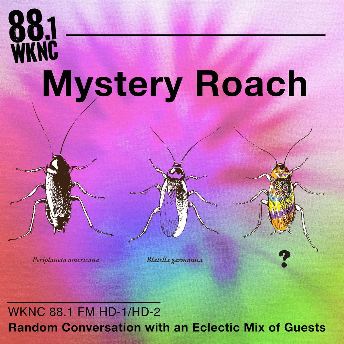 Show cover of Mystery Roach