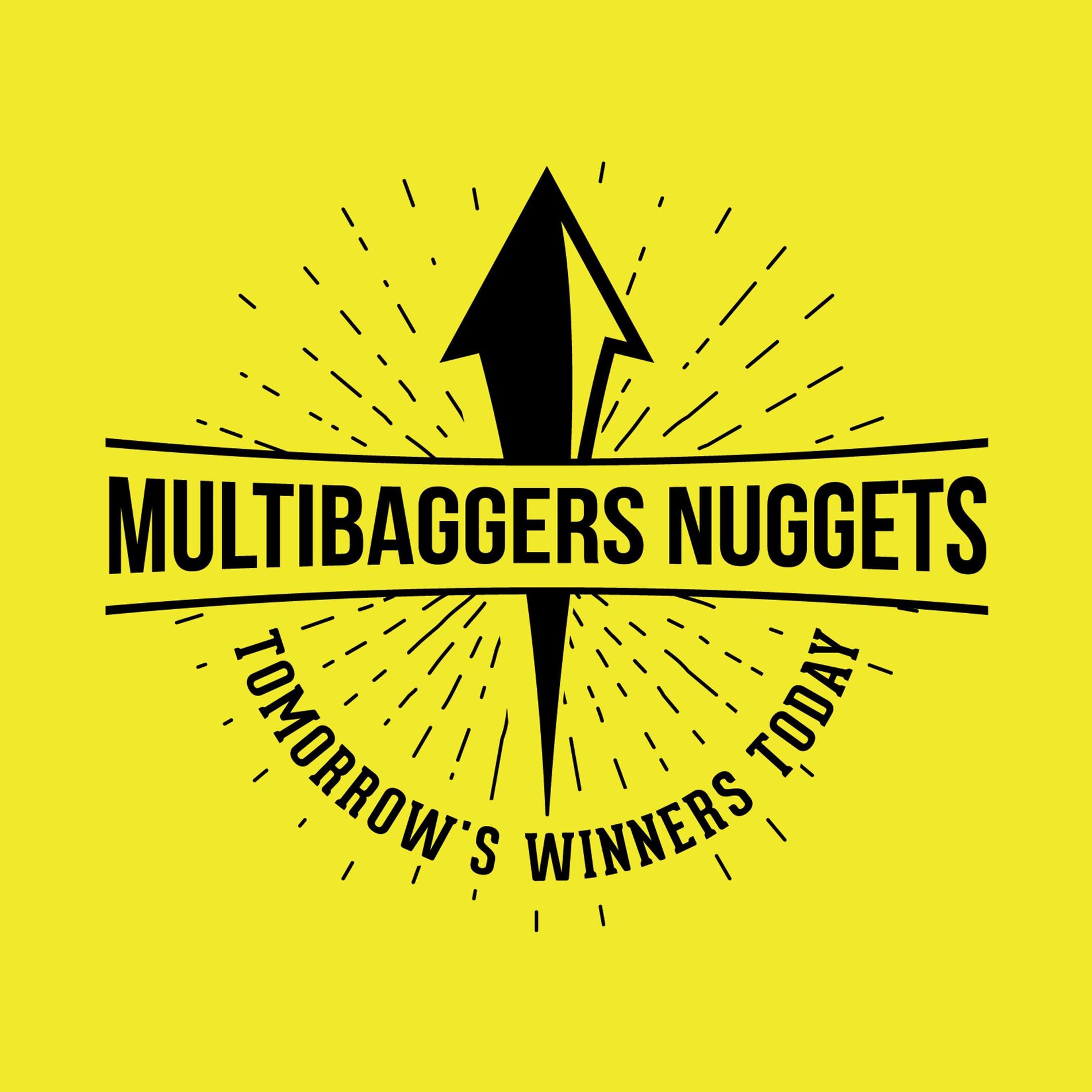 Show cover of Multibagger Nuggets