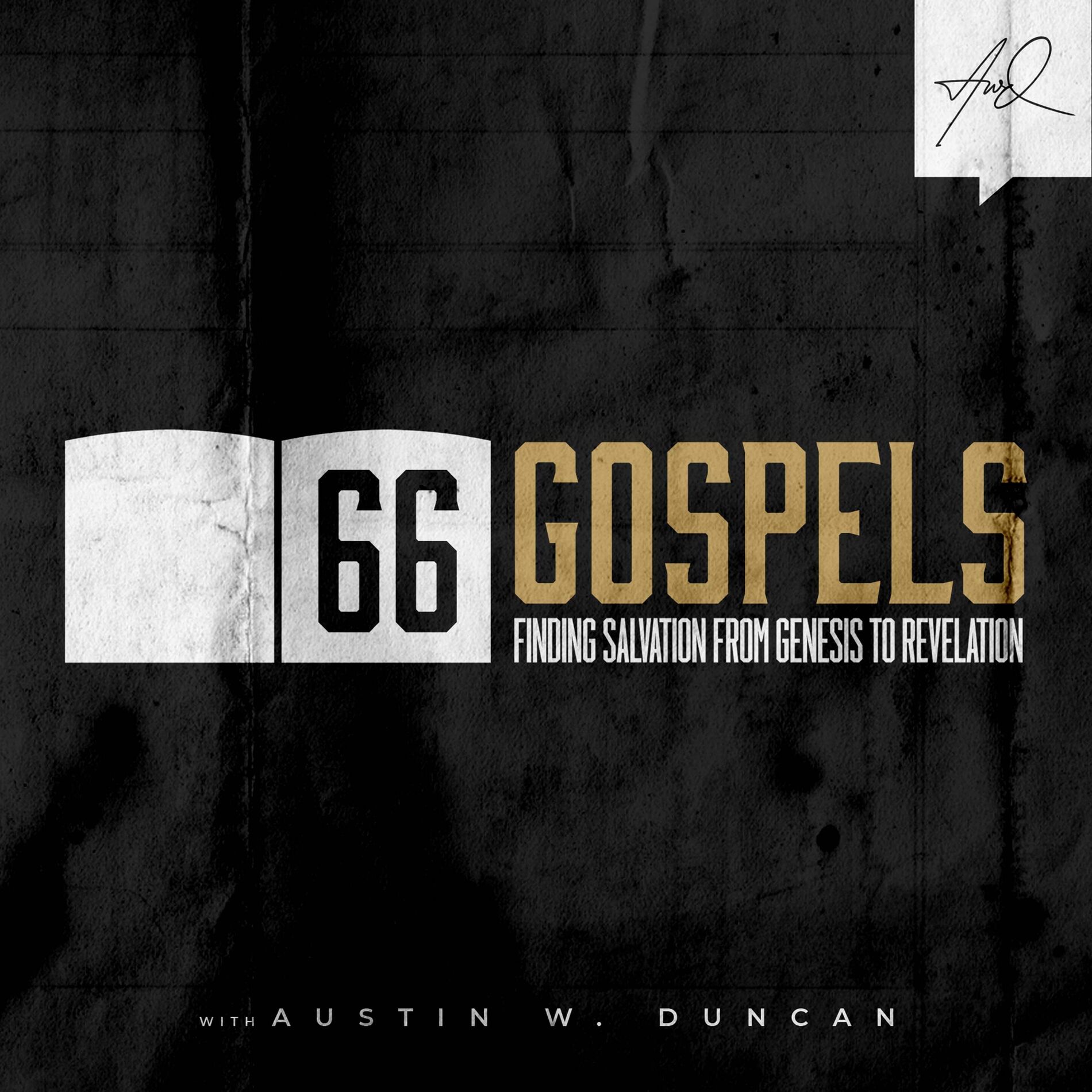 Show cover of 66 Gospels