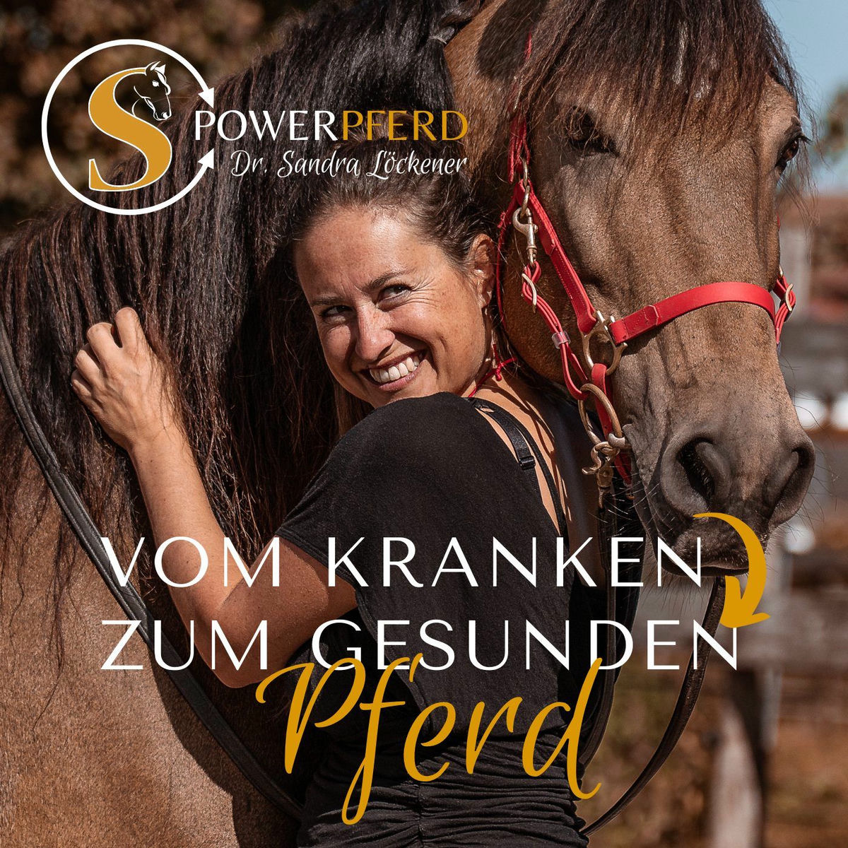Show cover of Vom kranken zum gesunden Pferd