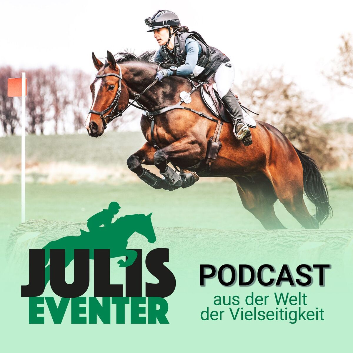 Show cover of Julis Eventer Podcast