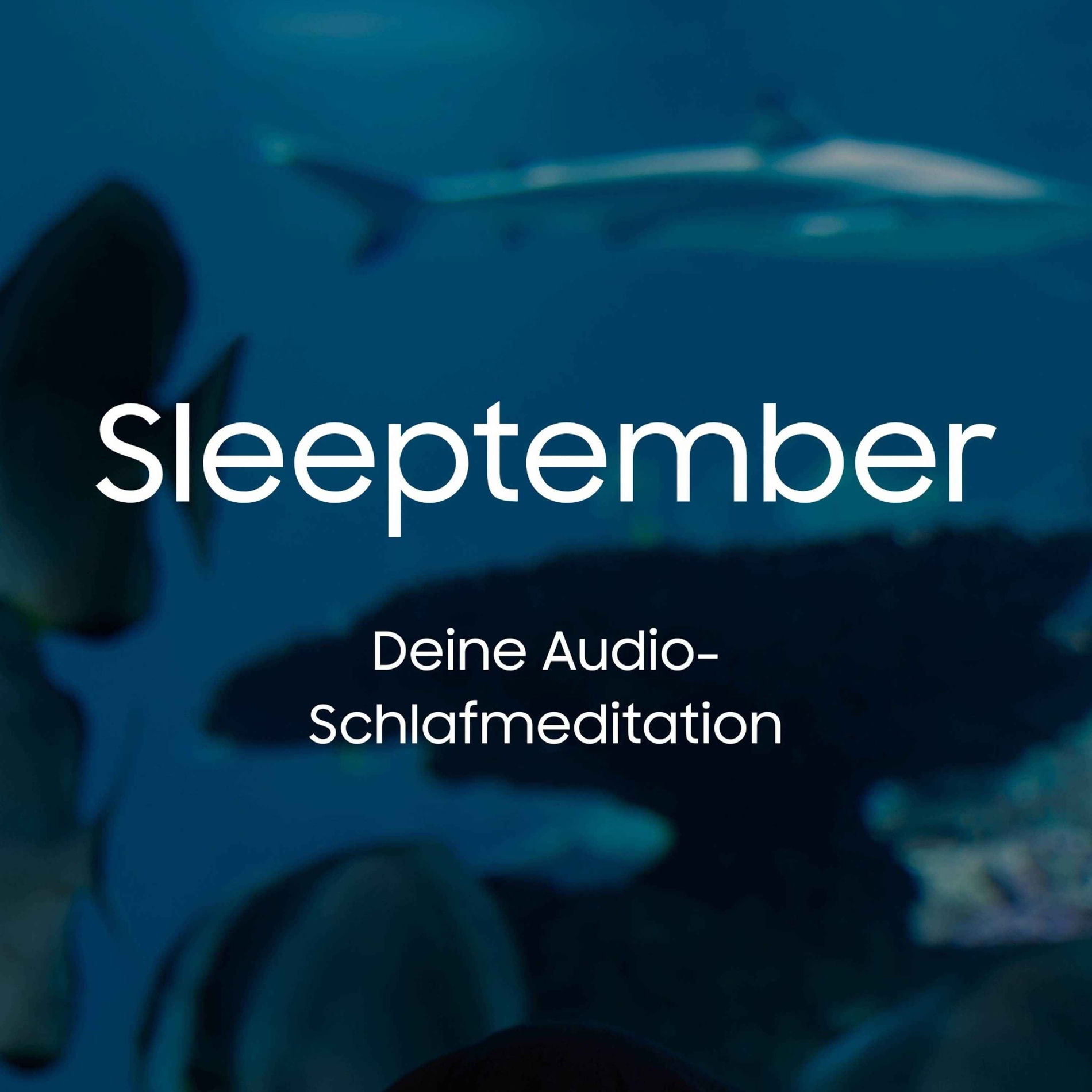 Show cover of Sleeptember by Samsung