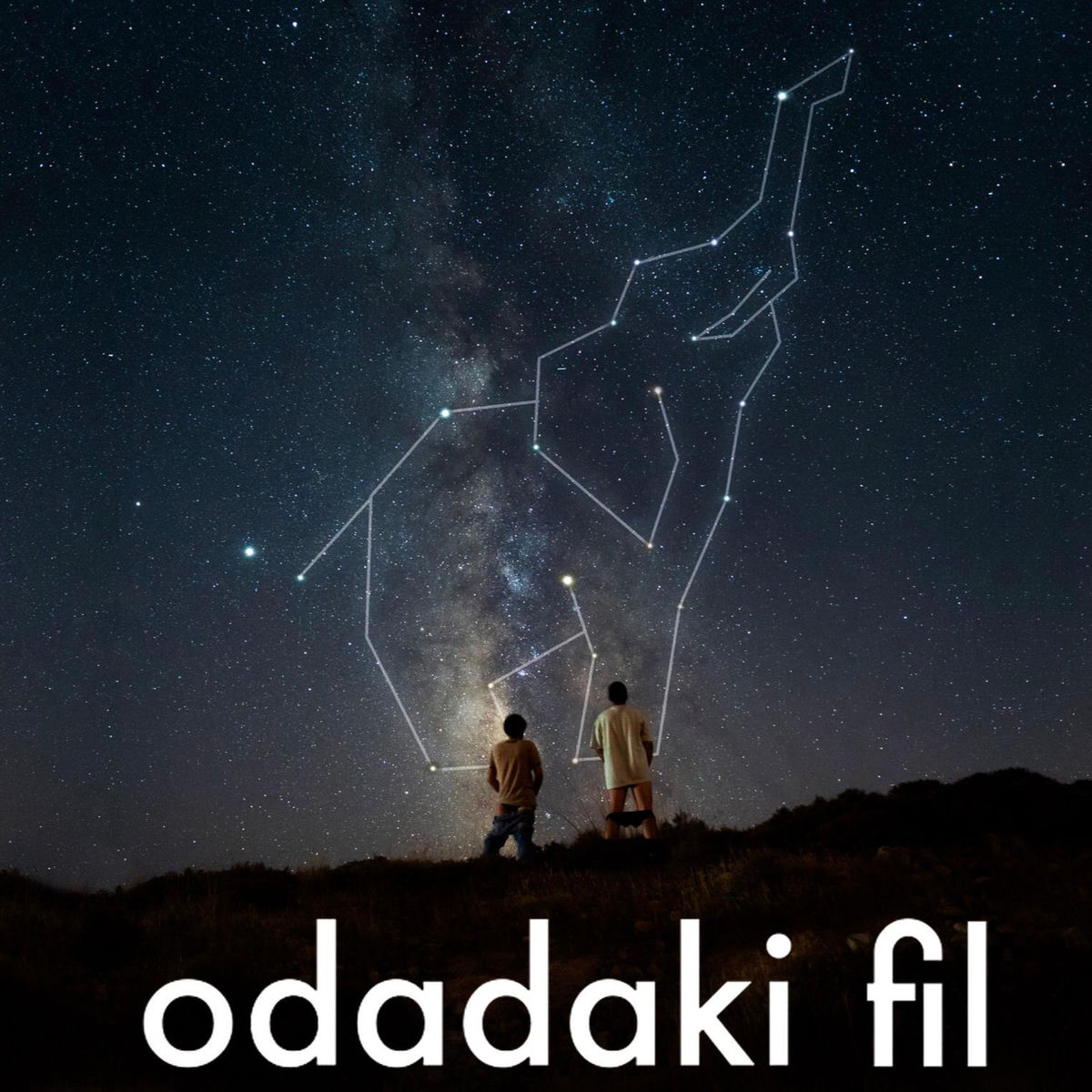 Show cover of Odadaki Fil