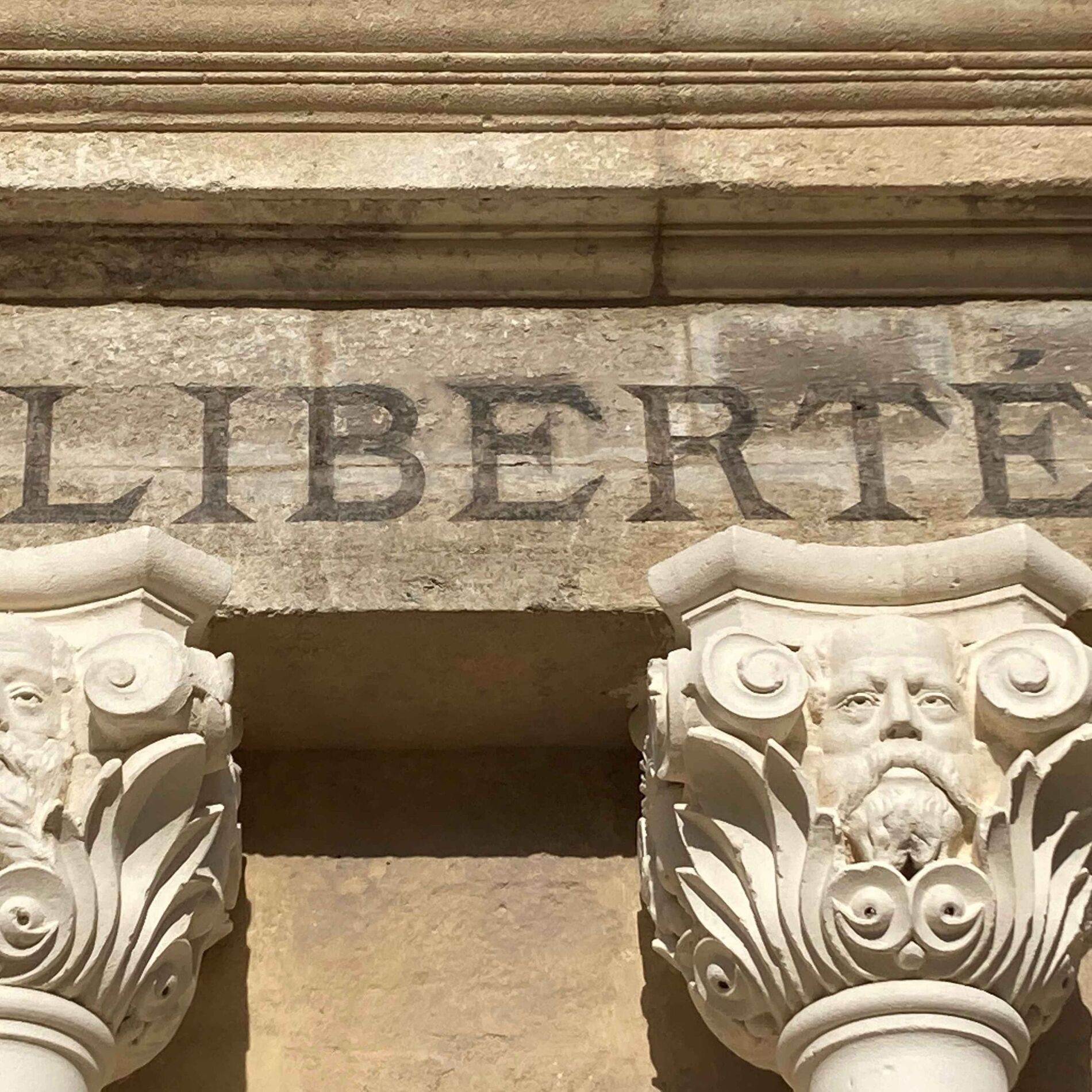 Show cover of Liberté d'expression