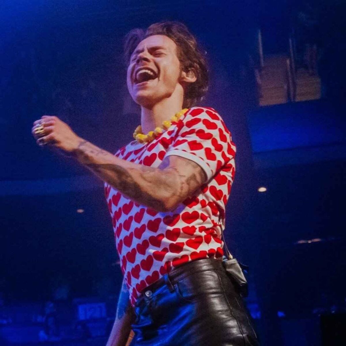 Show cover of Harry's unreleased