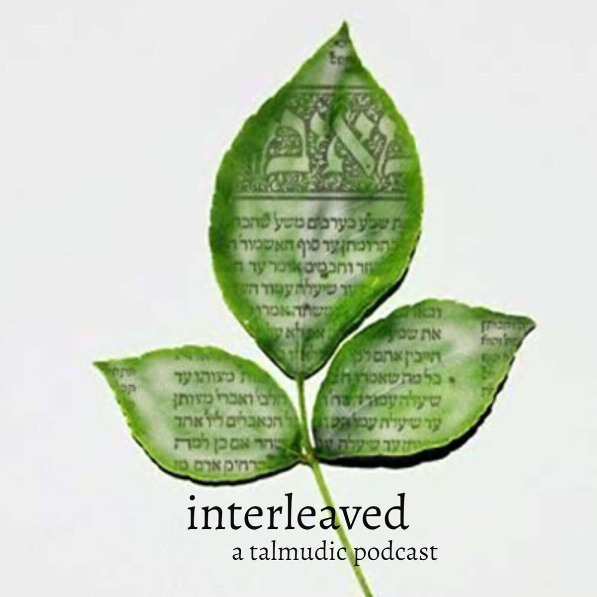 Show cover of Interleaved: A Talmudic Podcast